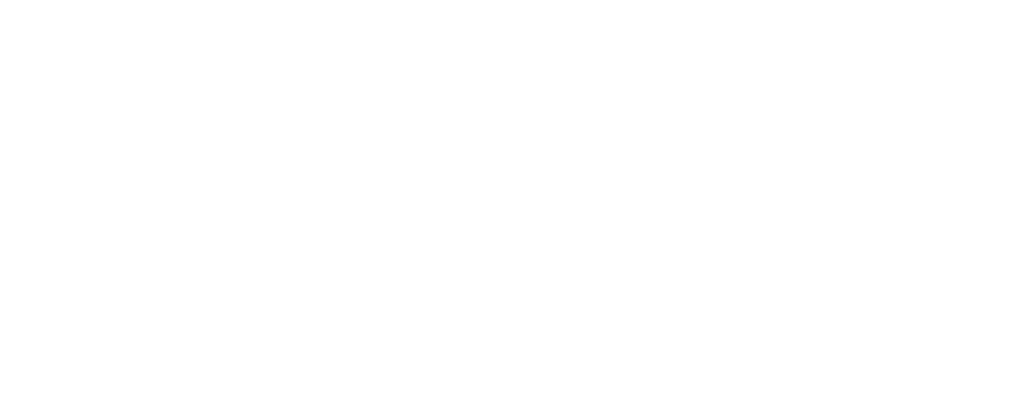 premium-plus-logo-white